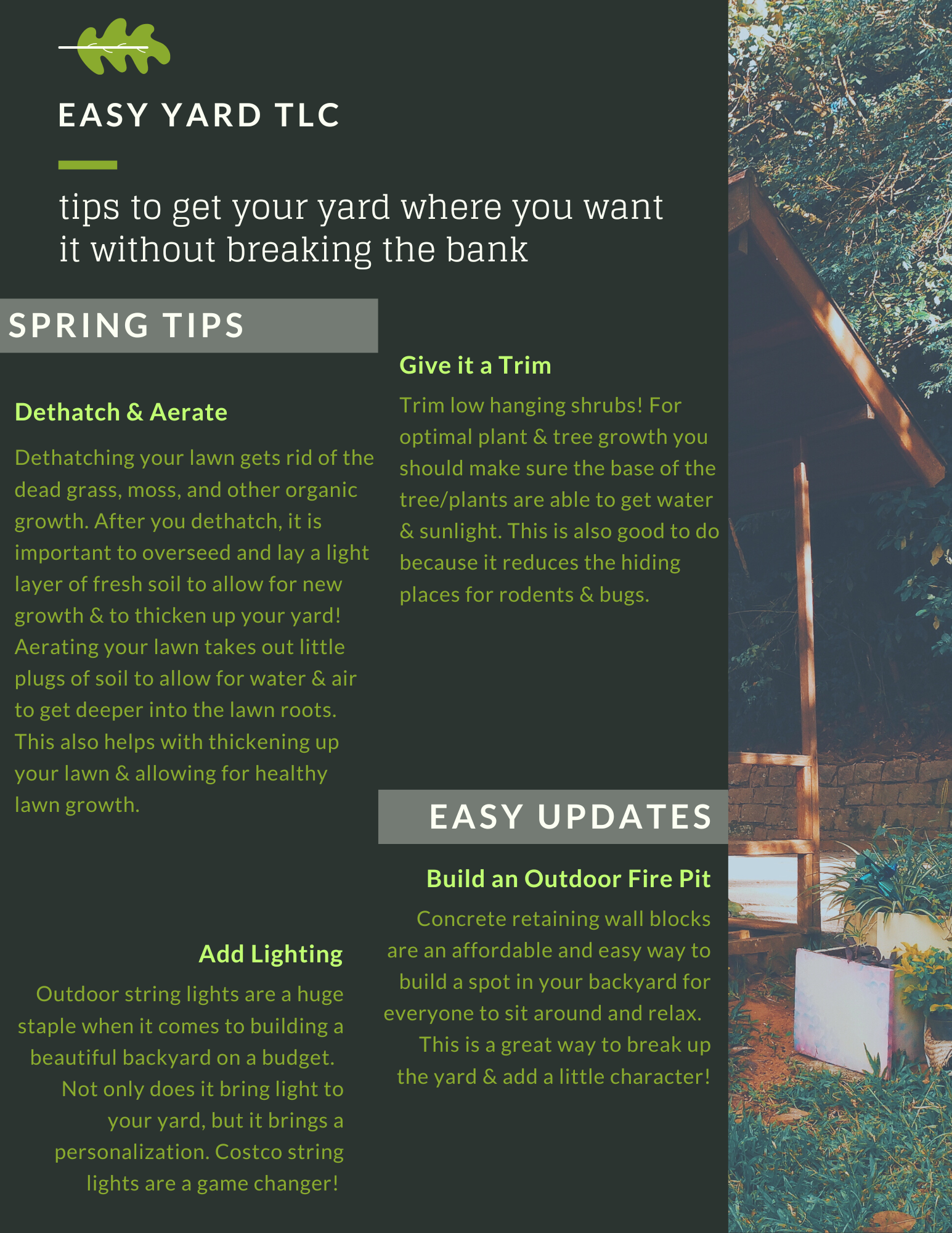 Easy & Affordable Yard TLC - Monthly Emails-5